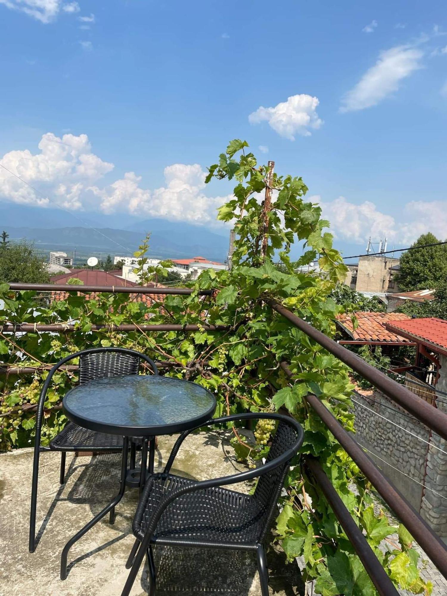 51 Telavi